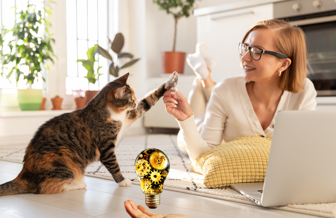professional mentor coaching student on cat habitat design